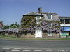 High+Street_021_(Wisteria_House).jpg