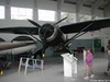 Westland_Lysander=126_small.jpg