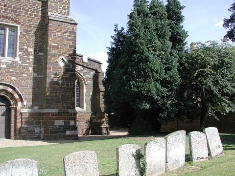 A tree right next to the Church!, Blunham