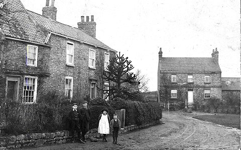 The road to Low Green, Copmanthorpe