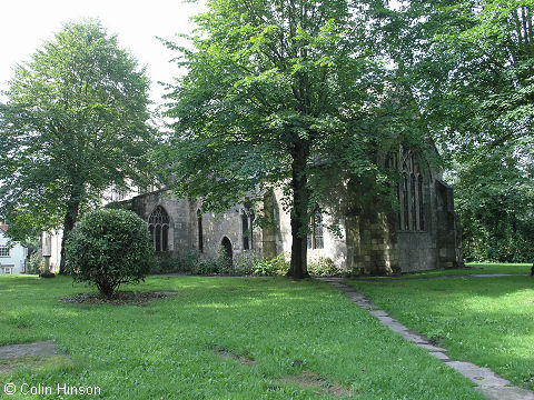 All Saints' Church trees, Bubwith