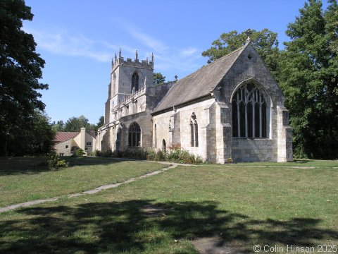All Saints' Church trees, Bubwith