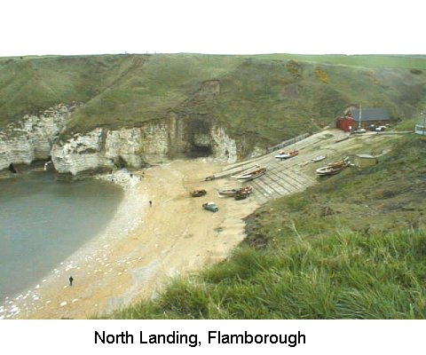 North Landing, Flamborough Head