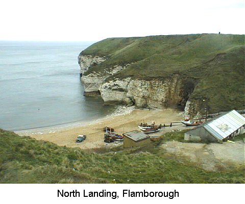 North Landing, Flamborough Head