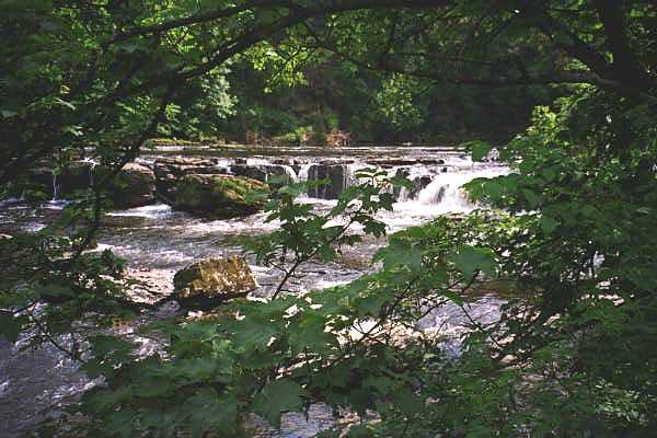 The falls at Aysgarth, Aysgarth