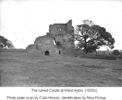 The Ruined 'Castle' at West Ayton, View 1