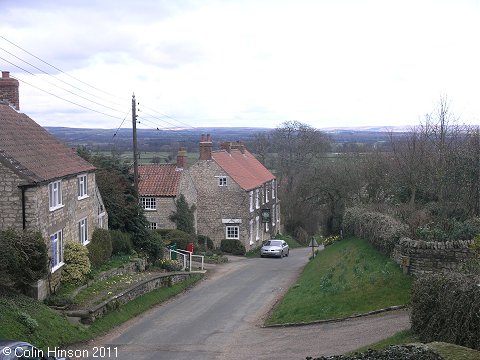 The view from Nunnington Village,  across the vale of Pickering