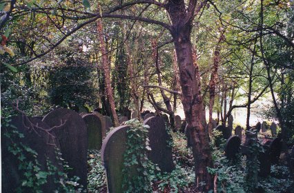 Wardsend Cemetery, View 4.